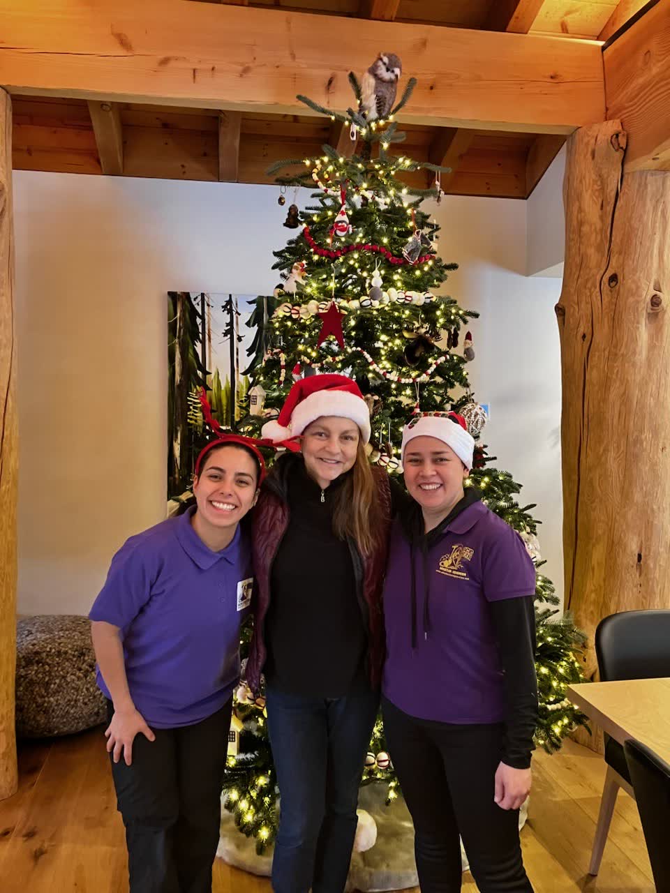 Eco-friendly biodegradable cleaning products used by Magic Clean Whistler